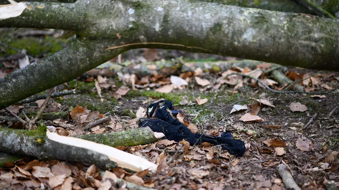 Blick auf den Unfallort. - Bild: Daniel Reinhardt/dpa