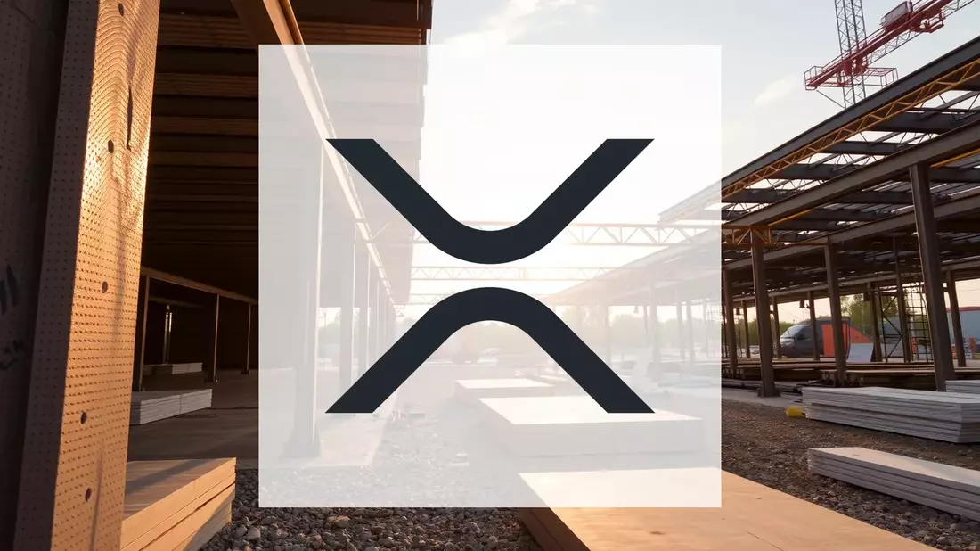 XRP: La acumulación de grandes tenedores contrasta con la salida de capital en ETFs - Bild: über boerse-global.de