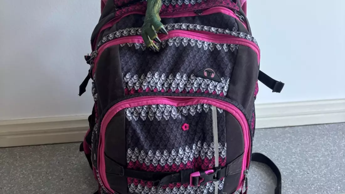 POL-NB: Dino vermisst Spielfreund - Polizei sucht Rucksackbesitzer - Bild: presseportal.de