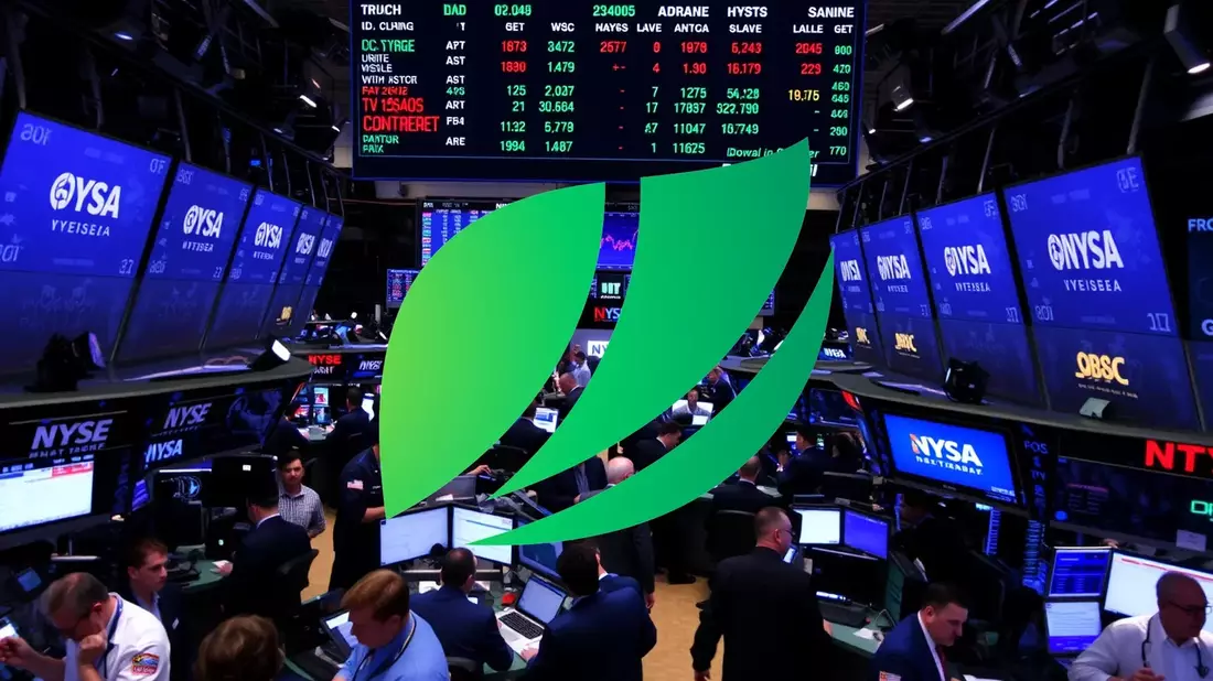 Suzano Aktie: Dämpfer für Anleger - Bild: über boerse-global.de