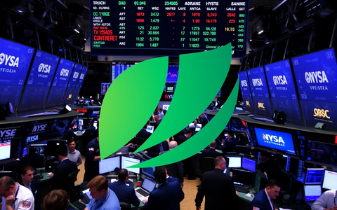 Suzano Aktie: Dämpfer für Anleger - Foto: über boerse-global.de