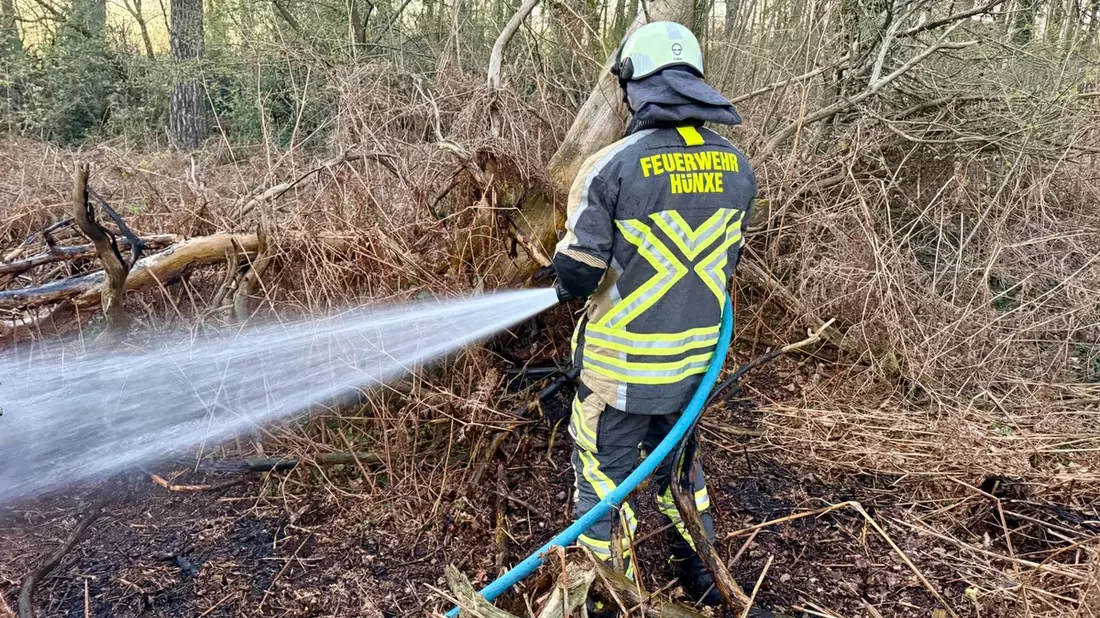 FW Hünxe: Brand in einem Waldstück - Bild: presseportal.de