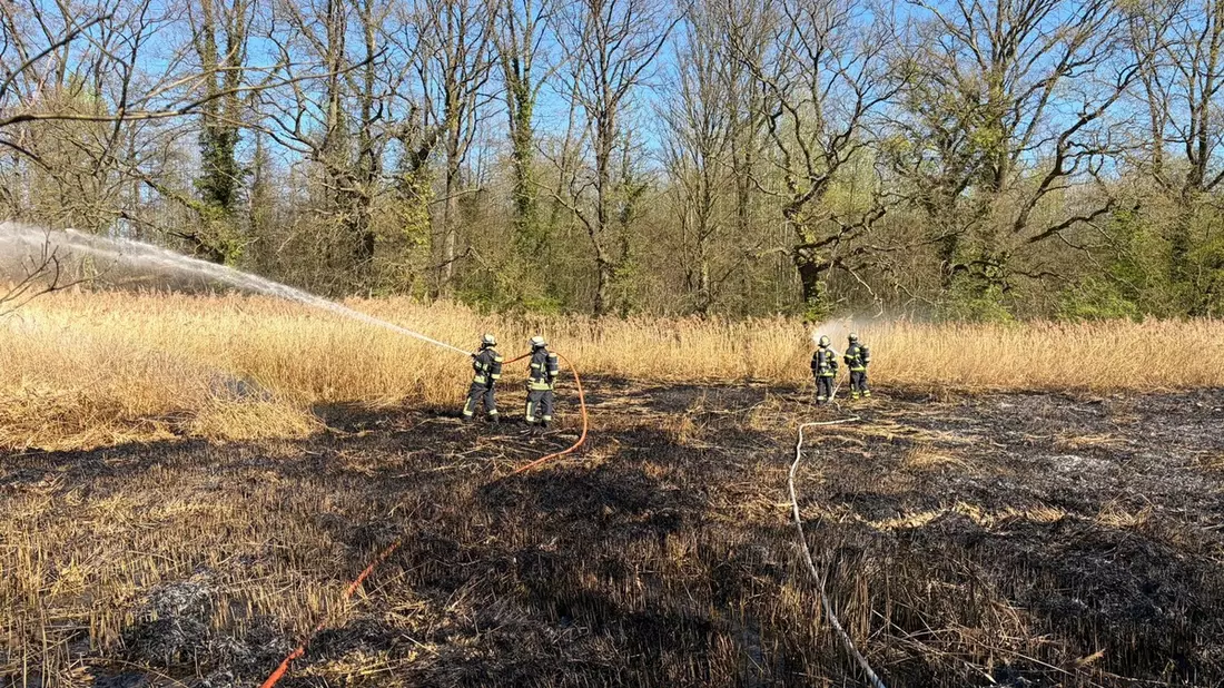 FW-DO: Vegetationsbrand in Naherholungsgebiet Kurler Busch - Bild: presseportal.de