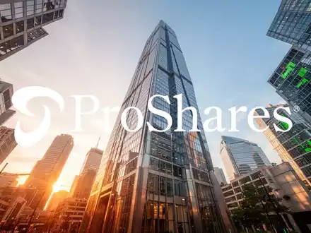 ProShares EET ETF: Hebel auf Schwellenländer - Foto: über boerse-global.de