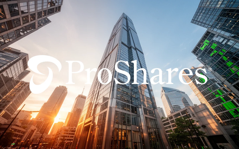 ProShares EET ETF: Hebel auf Schwellenländer - Foto: über boerse-global.de