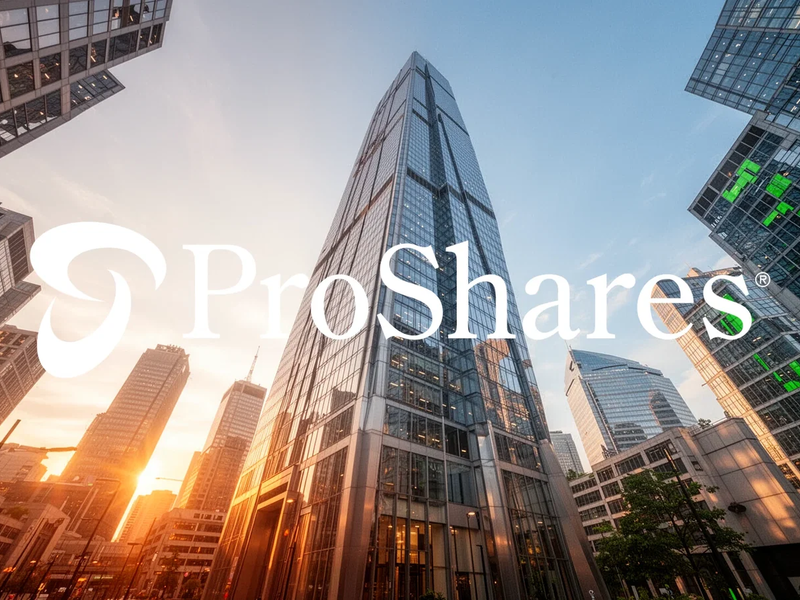 ProShares EET ETF: Hebel auf Schwellenländer - Foto: über boerse-global.de