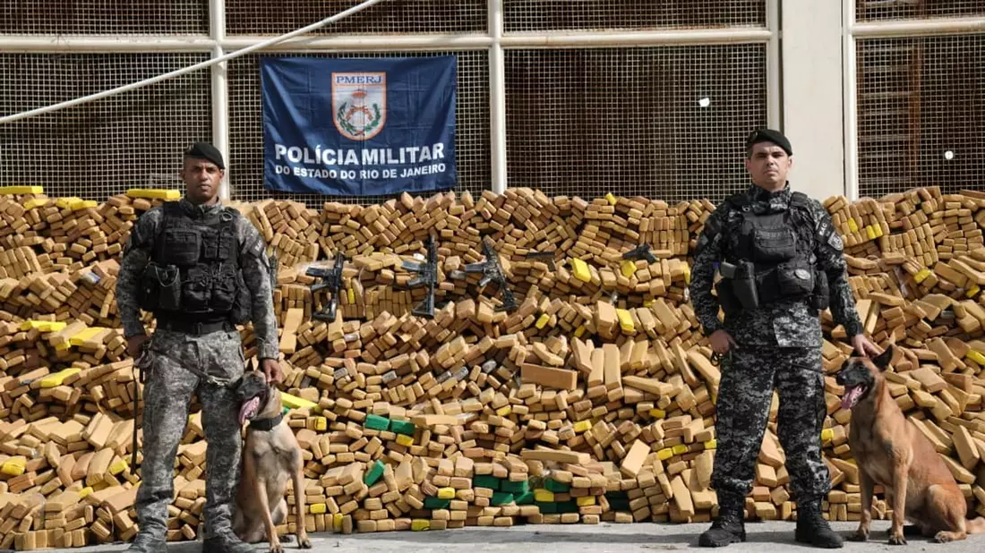 Fast 50 Tonnen Marihuana hat die Polizei in der brasilianischen Millionenmetropole Rio de Janeiro sichergestellt. - Bild: -/ASCOM PMERJ/dpa