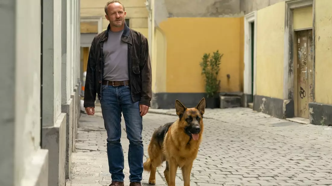 Maximilian Brückner Kommissar Rex Kommissar Rex - Bild: SAT.1/ORF/Petro Domenigg, presseportal.de