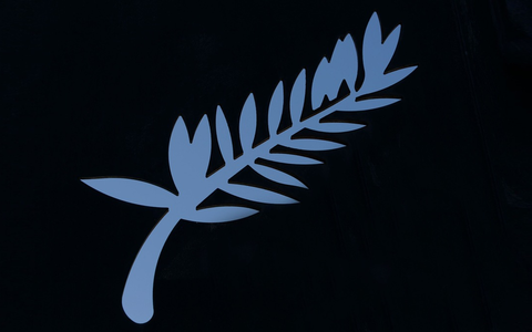 Beim Cannes Film Festival: Sechsfache Teilnahme von ZDF/ARTE-Koproduktionen - Foto: presseportal.de Beim Cannes Film Festival: Sechsfache Teilnahme von ZDF/ARTE-Koproduktionen - Foto: presseportal.de