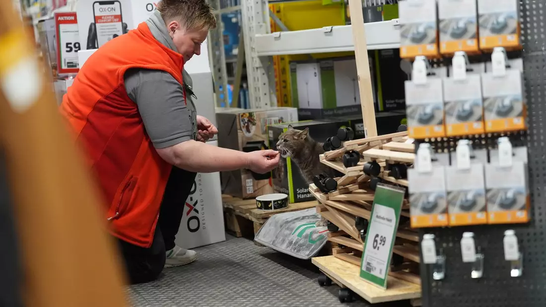 Jennifer Scheel, Mitarbeiterin im Baumarkt, wird von ihren Kollegen auch «Katzenmutti» genannt. - Bild: Marcus Brandt/dpa