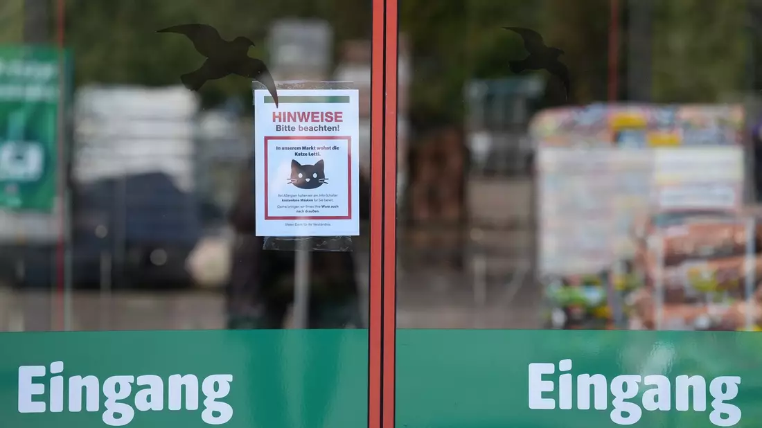 Ein Schild am Eingang weist auf Lotti hin. - Bild: Marcus Brandt/dpa