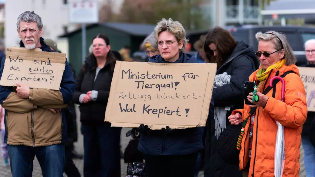 Auch am Sonntag demonstrieren wieder zahlreiche Menschen für die Rettung des Wals.  - Bild: Marcus Golejewski/dpa
