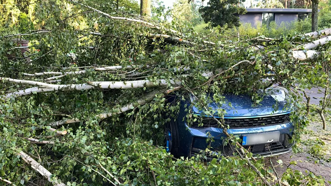 Bäume, die auf Autos stürzen und andere Naturgefahren richteten vergangenes Jahr deutlich weniger Schäden an. (Archivbild) - Bild: Jens Dudziak/dpa