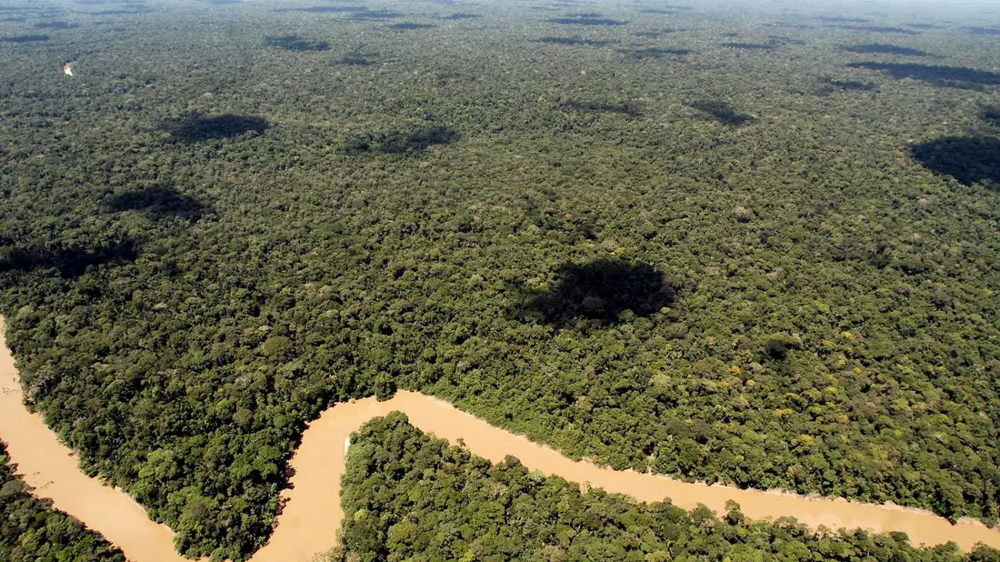 Der Regenwald in Ecuador ist schon lange bedroht. Doch es gibt Hoffnung. - Bild: picture alliance / dpa