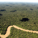 Der Regenwald in Ecuador ist schon lange bedroht. Doch es gibt Hoffnung. - Foto: picture alliance / dpa