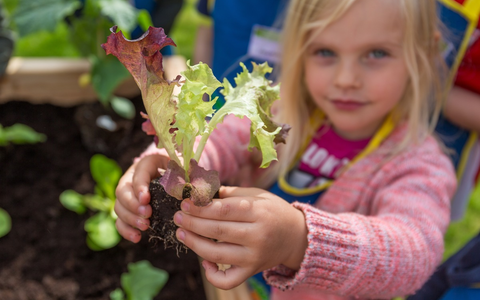 Wissen, das Wurzeln schlägt: EDEKA Stiftung bringt wieder Gemüsebeete in Deutschlands Kitas - Foto: presseportal.de