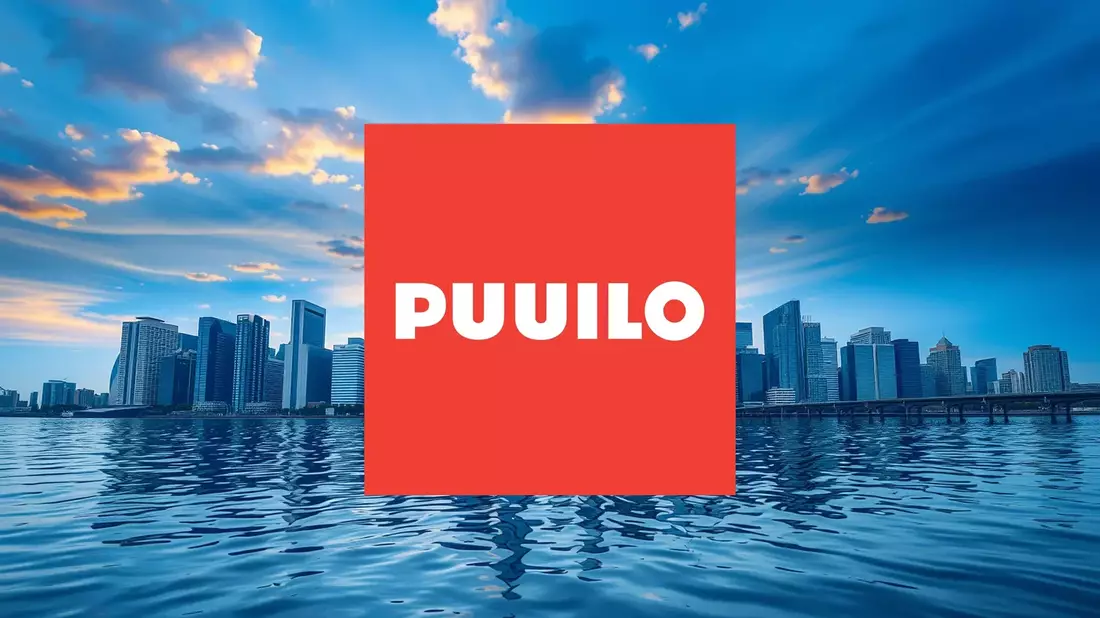 Puuilo Aktie: Satter Dividenden-Regen - Bild: über boerse-global.de