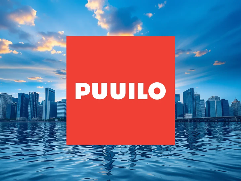 Puuilo Aktie: Satter Dividenden-Regen - Foto: über boerse-global.de