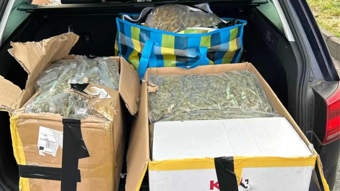 HZA-BI: Drogenkurier mit 31 Kilogramm Marihuana und gefälschten Nummernschildern unterwegs/Zoll zieht Drogen im Wert von mehr als 300.000 Euro auf A2 bei Hamm aus dem Verkehr - Bild: presseportal.de