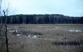 Moorlandschaft (Archiv) - Foto: via dts Nachrichtenagentur