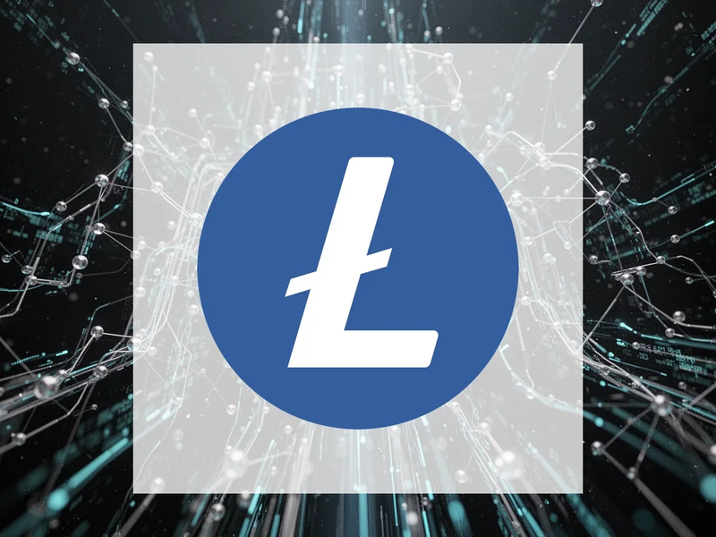 Litecoin: LitVM-Testnet-Start - Foto: über boerse-global.de