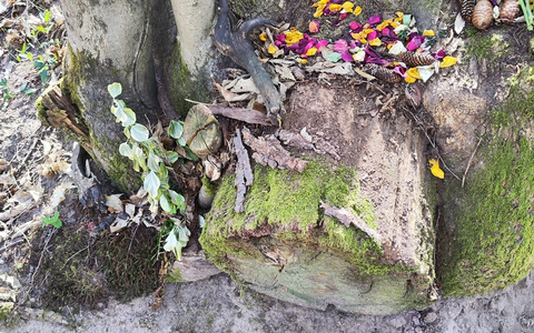 POL-PDLD: Annweiler - Sachbeschädigung Trifelsruhe - Foto: presseportal.de