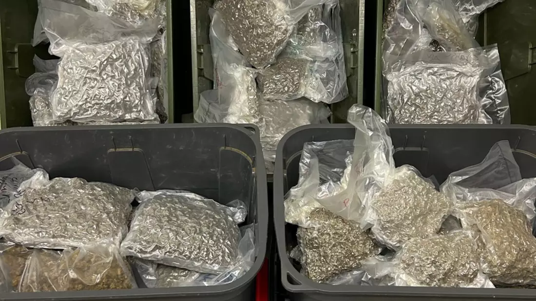 ZOLL-S: Zoll entdeckt illegale Marihuana-Plantage und nimmt zwei Tatverdächtige fest / Rund 700 Pflanzen (davon 400 Stecklinge)und 30 Kilogramm verkaufsfertiges Marihuana in einer Privatwohnung sichergestellt - Bild: presseportal.de