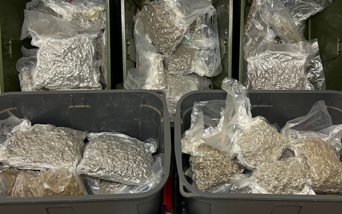 ZOLL-S: Zoll entdeckt illegale Marihuana-Plantage und nimmt zwei TatverdÀchtige fest / Rund 700 Pflanzen (davon 400 Stecklinge)und 30 Kilogramm verkaufsfertiges Marihuana in einer Privatwohnung sichergestellt - Foto: presseportal.de ZOLL-S: Zoll entdeckt illegale Marihuana-Plantage und nimmt zwei TatverdÀchtige fest / Rund 700 Pflanzen (davon 400 Stecklinge)und 30 Kilogramm verkaufsfertiges Marihuana in einer Privatwohnung sichergestellt - Foto: presseportal.de