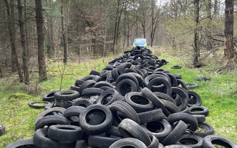 POL-GF: Da gehören sie nicht hin - Foto: presseportal.de POL-GF: Da gehören sie nicht hin - Foto: presseportal.de