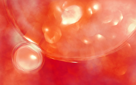 - Foto: Aguacate Projects SL - Foto: Aguacate Projects SL