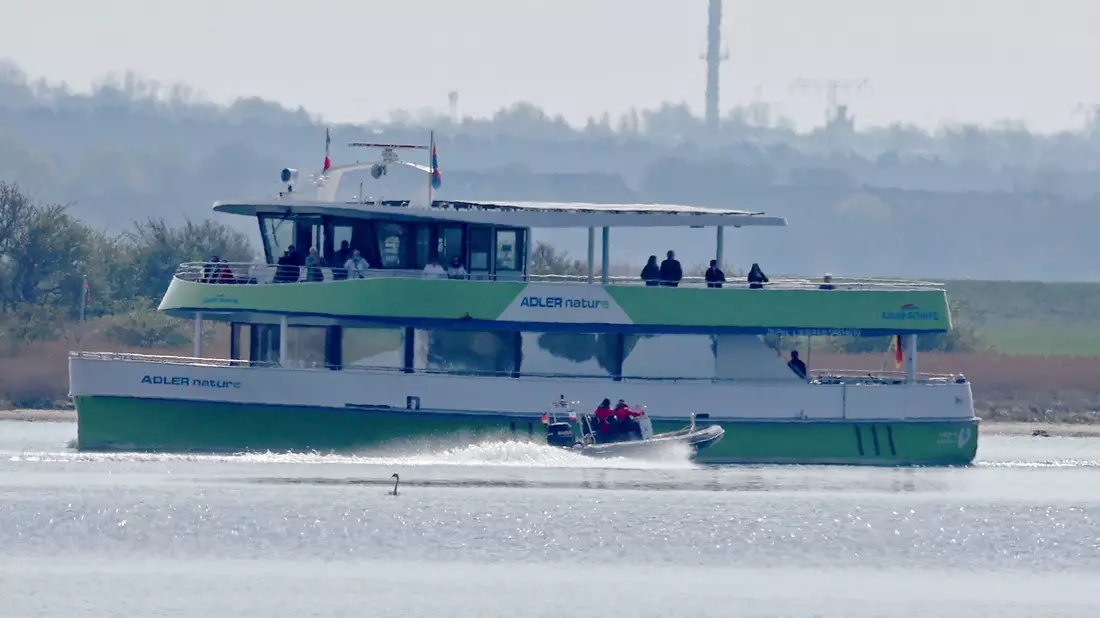 Am Wochenende war eine Frau im Neoprenanzug von einem Schiff gesprungen. Sie wurde von der Wasserschutzpolizei in der Nähe des Wals aus dem Wasser geholt. - Bild: Bernd Wüstneck/dpa
