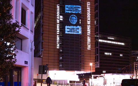 EU-Kommission wird zur Zentrale der Tierindustrie / Tierschutzorganisation Animal Equality prangert mit Projektion in Brüssel die Nähe der EU-Kommission zur Tierindustrie an - Foto: presseportal.de