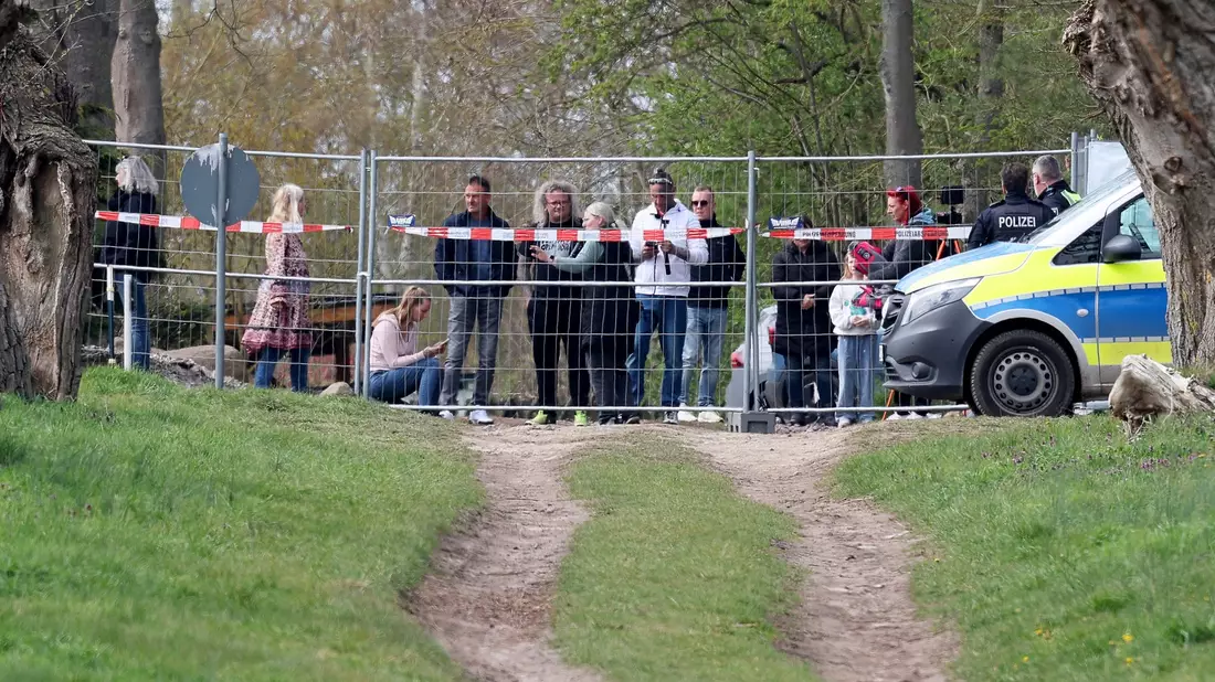 Das Schicksal des bei Wismar gestrandeten Wals beschäftigt die Menschen emotional. - Bild: Bernd Wüstneck/dpa