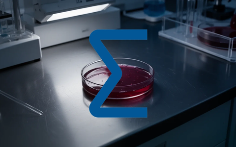 Sellas Life Sciences Aktie: Verwässerungsschock droht! - Foto: über boerse-global.de