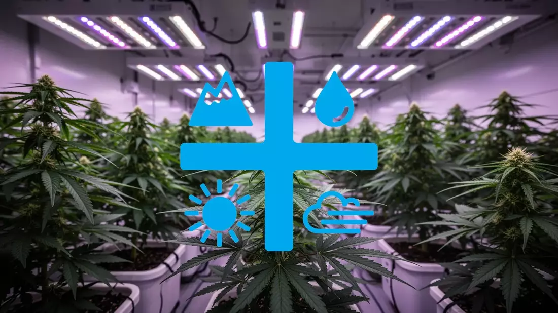 Aurora Cannabis Aktie: Übernahme fix! - Bild: über boerse-global.de