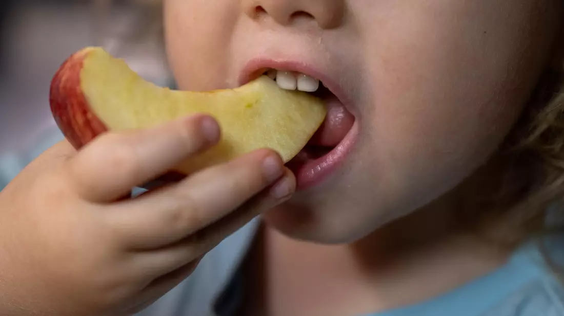 Obst wird oft durch hochverarbeitete Lebensmittel ersetzt. (Symbolbild) - Bild: Hendrik Schmidt/dpa