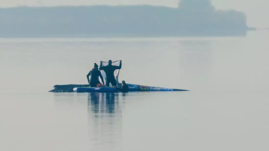 Retter sind am Morgen in der Nähe des Buckelwal vor der Insel Poel und legen Tücher auf dem Walrücken aus. - Bild: Jens Büttner/dpa