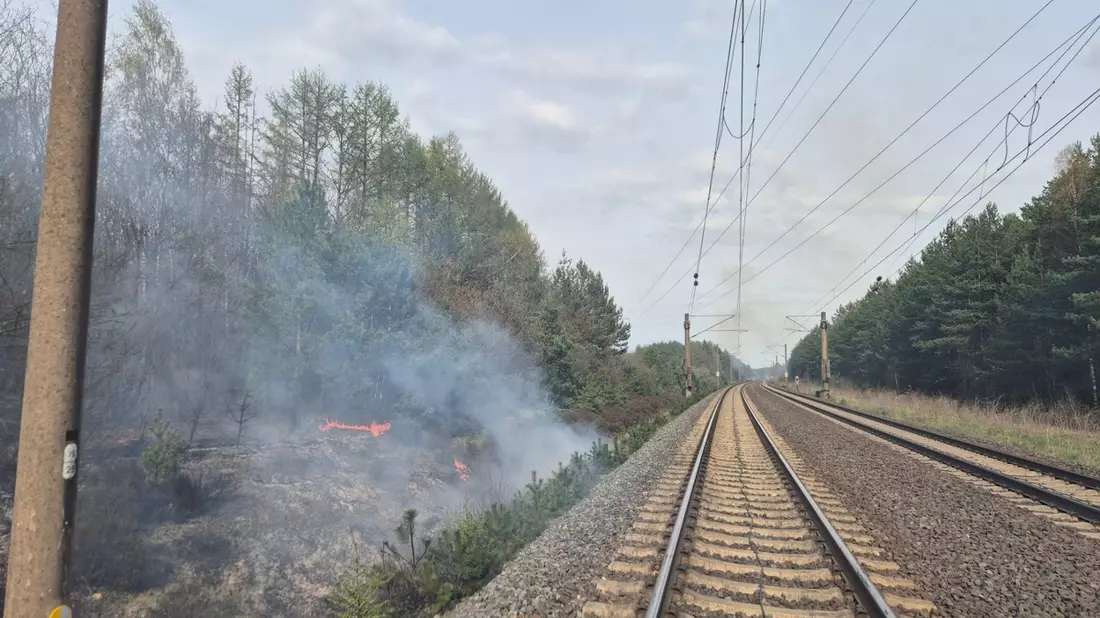 FW Südheide: Böschungsbrand an der Bahnstrecke zwischen Unterlüß und Suderburg - Bild: presseportal.de
