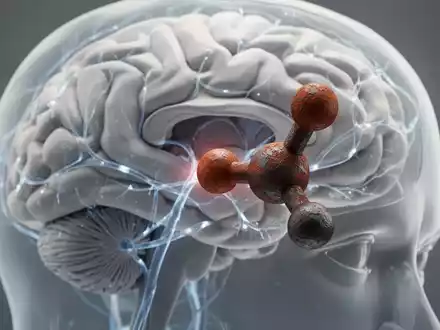 Eisenstoffwechsel: Schlüsselfaktor für Alzheimer-Risiko - Foto: über boerse-global.de