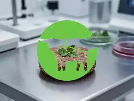 Beyond Meat Aktie: Nasdaq-Frist tickt! - Foto: über boerse-global.de