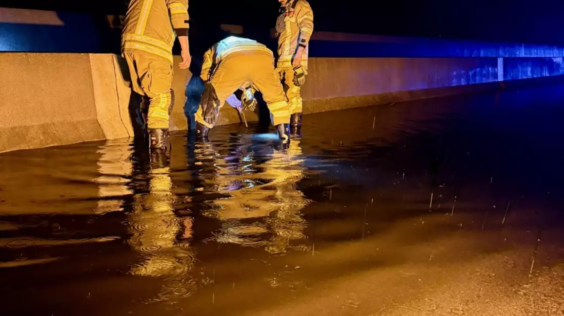 FW Ratingen: Verkehrsunfall auf der BAB 3 - Bild: presseportal.de