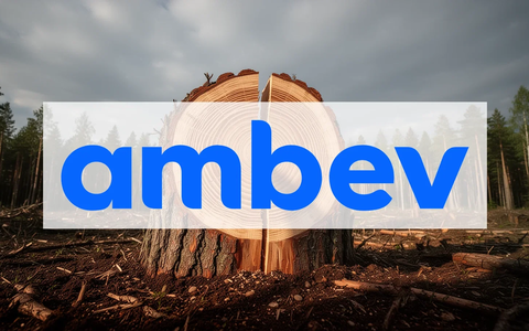 Ambev Aktie: Radikaler Schnitt! - Foto: über boerse-global.de