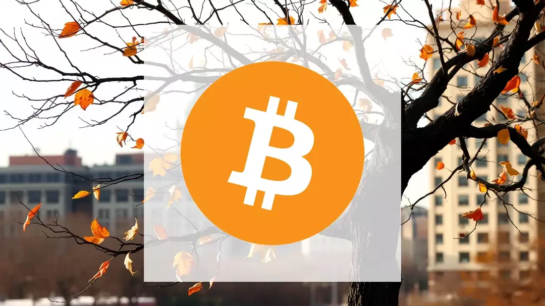 Bitcoin's Hidden Battle: Protocol Upgrades and Fee Wars Shape the Next Phase - Bild: über boerse-global.de