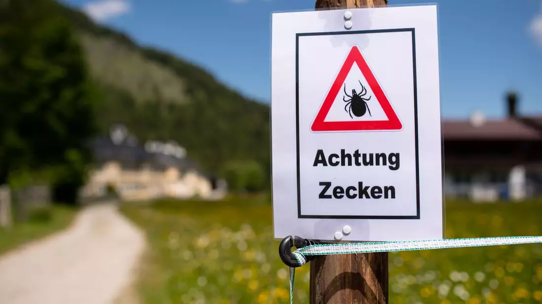 Nach einem Aufenthalt in der Natur sollte man sich unbedingt intensiv absuchen, denn diese stechen nicht sofort. Möglicherweise lässt sich so eine Infektion noch rechtzeitig verhindern. (Archivbild) - Bild: Sven Hoppe/dpa
