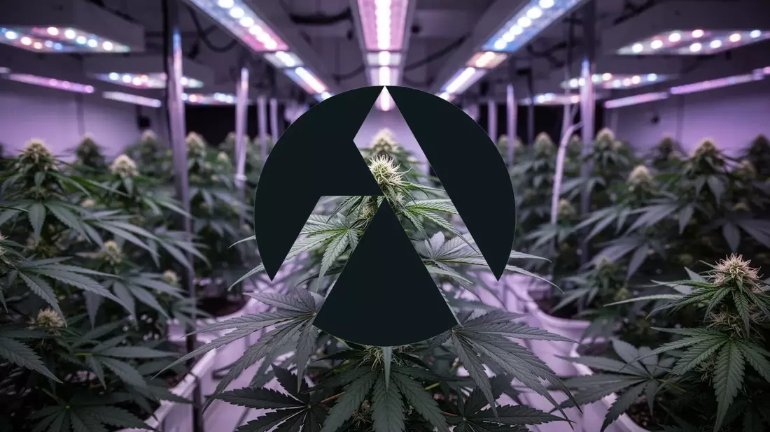 Tilray Brands Aktie: S-3-Programm aktiv - Bild: über boerse-global.de