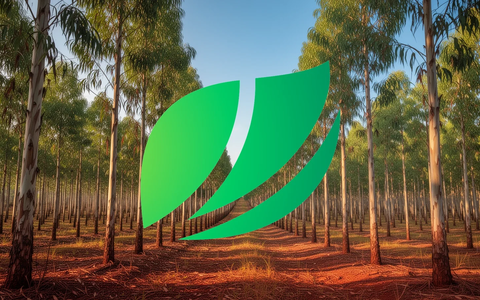 Suzano Aktie: Zahlen-Countdown - Foto: über boerse-global.de