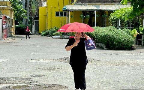 Viele schützen sich mit Schirmen vor der Sonne. - Foto: Carola Frentzen/dpa