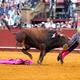 Der mehr als 500 Kilogramm schwere Bulle Clandestino spießte den Star-Torero von hinten auf. - Foto: Joaquín Corchero/EUROPA PRESS/dpa