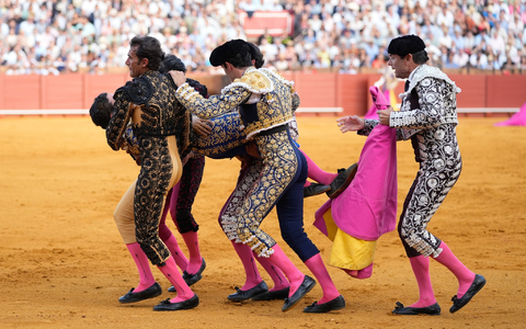 Helfer tragen den schwer verletzten Torero Morante de la Puebla aus der Stierkampfarena. - Foto: Joaquín Corchero/EUROPA PRESS/dpa