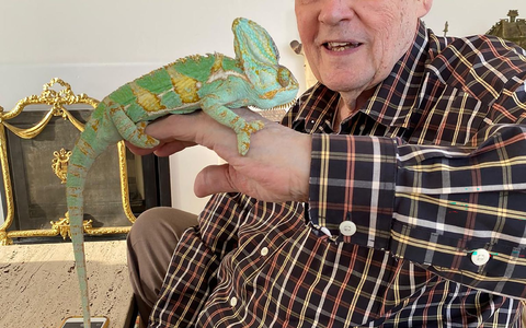 Der britische Zoologe Desmond Morris habe ein Leben voller Neugier und Kreativität gelebt, sagte sein Sohn.  - Foto: Family Handout/PA Wire/dpa